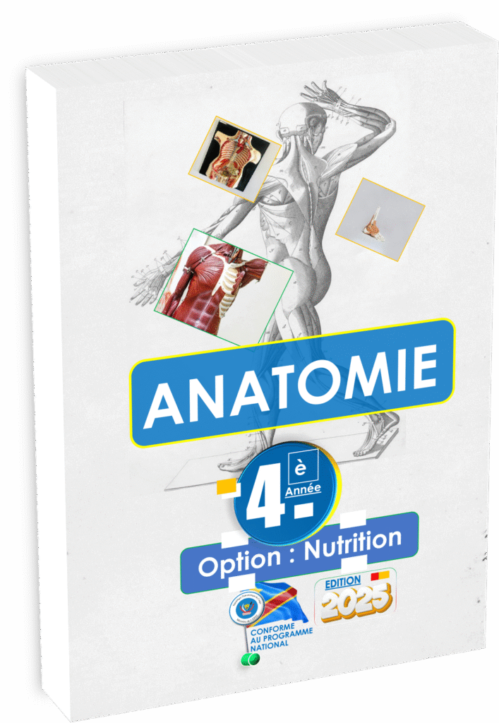 Explorez le manuel d'anatomie destiné à la 4ème année option nutrition, aligné sur le programme EPST de la RDC. Parfait pour réussir la rentrée scolaire 2025, ce contenu structuré offre les bases essentielles sur l’anatomie humaine dans un contexte nutritionnel, adapté aux besoins éducatifs congolais