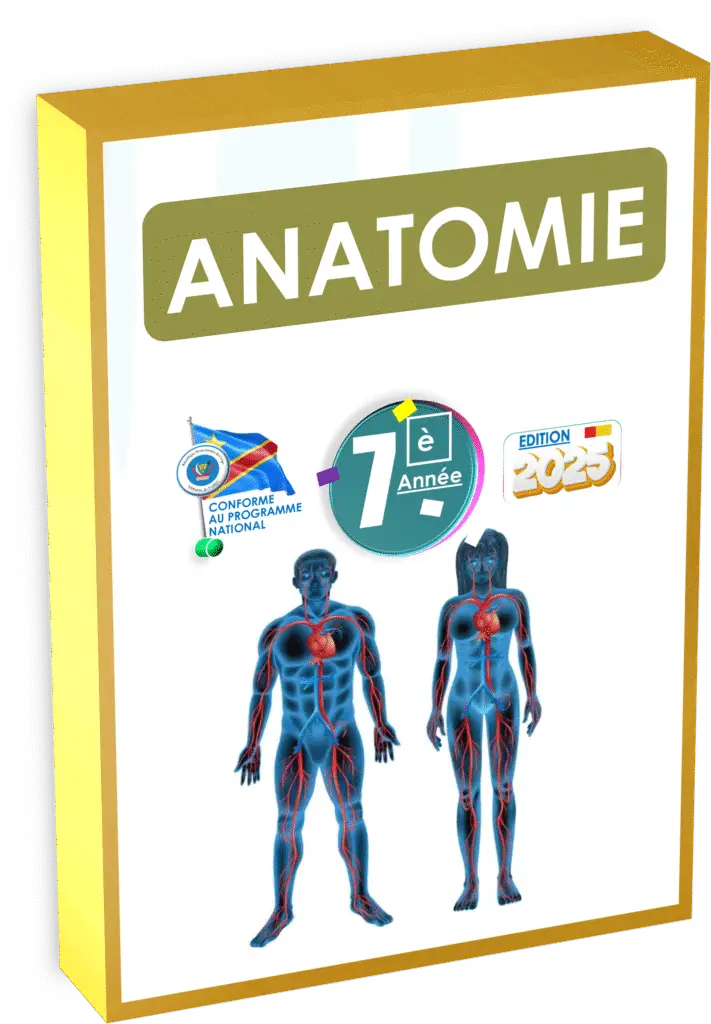 Manuel d’anatomie pour la 7e année en RDC : conforme au programme de l’EPST, il initie les élèves à la structure du corps humain à travers des schémas détaillés et des explications accessibles. Un support essentiel pour développer les bases des sciences biologiques au secondaire.