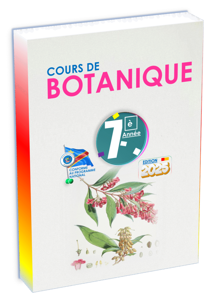 Manuel de botanique pour la 7e année en RDC : conforme au programme national de l’EPST, il initie les élèves à la biologie végétale à travers des illustrations claires, des observations pratiques et des exercices adaptés. Un support fondamental pour développer la connaissance du monde végétal dès le secondaire.