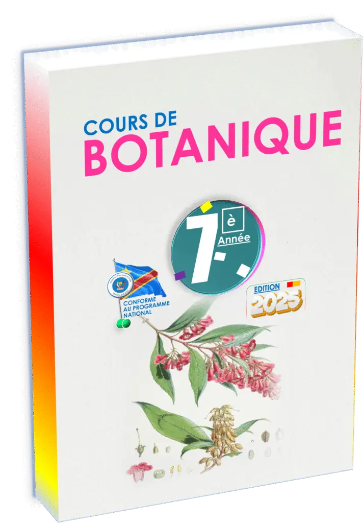 Manuel de botanique pour la 7e année en RDC : conforme au programme national de l’EPST, il initie les élèves à la biologie végétale à travers des illustrations claires, des observations pratiques et des exercices adaptés. Un support fondamental pour développer la connaissance du monde végétal dès le secondaire.