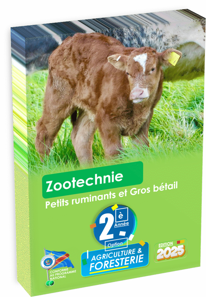 Maîtrisez l’élevage des petits ruminants (ovins et caprins) grâce au manuel officiel destiné à la 2ᵉ année Agriculture et Foresterie, édition 2025. Ce support pédagogique, strictement conforme au programme EPST, accompagne les élèves dans l’acquisition de savoir-faire essentiels pour la réussite en milieu rural congolais, en vue de la rentrée scolaire 2025.